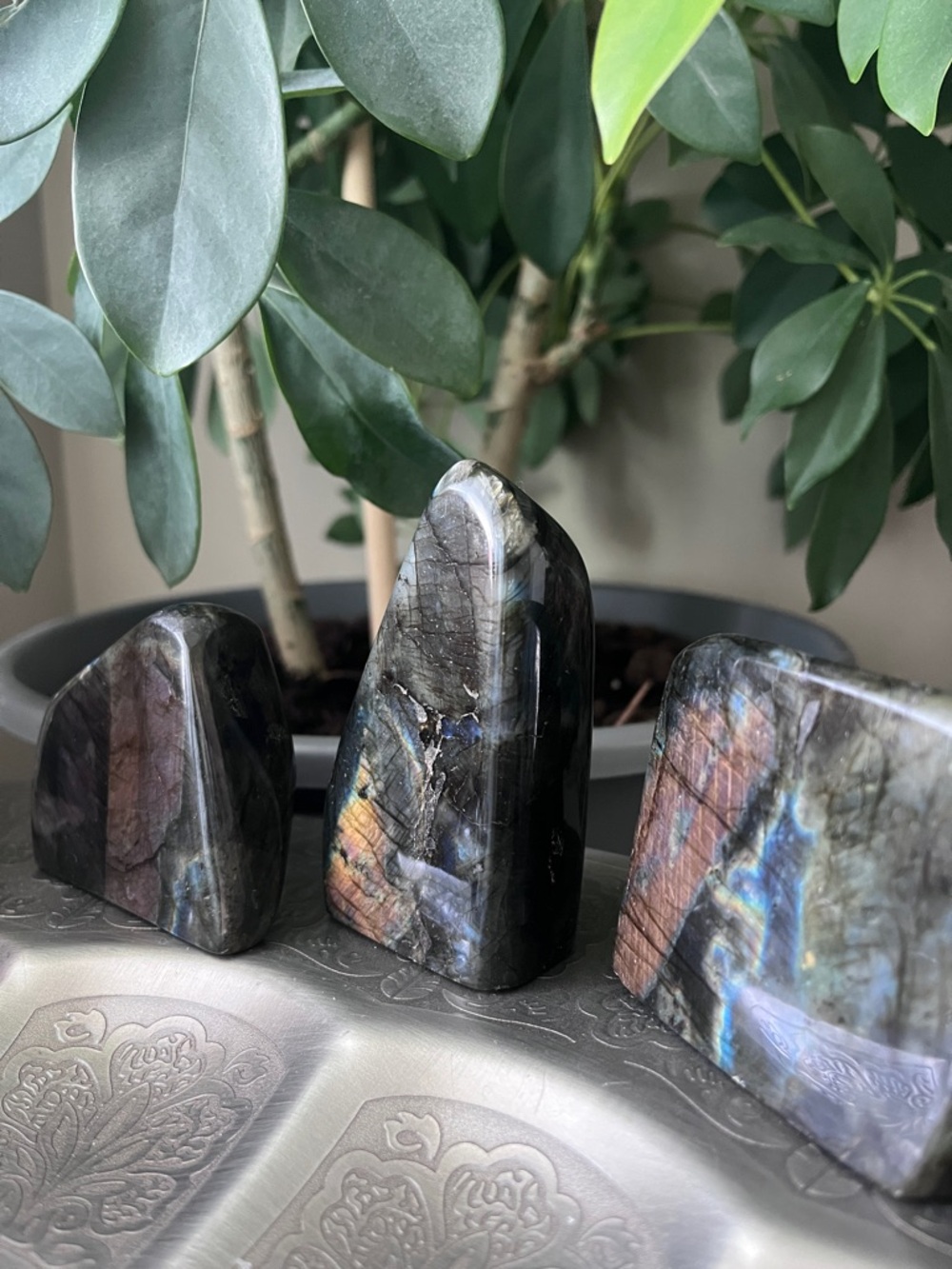 Labradorite Freeform - Picture 5 of 5